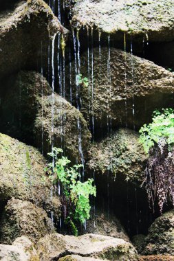 Kayaların üzerinden akan su