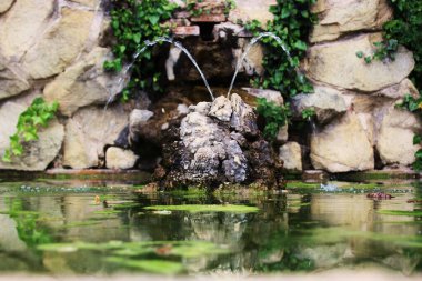 Nilüferlerin ferahlatıcı pınarı.