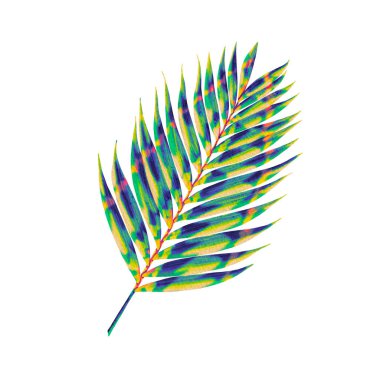 Tropikal yaprakların suluboya çizimi. İzole edilmiş beyaz arkaplanda dijital suluboya ile elle çizilmiş yazdırma için yüksek çözünürlüklü.