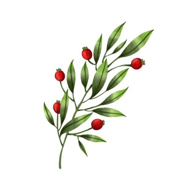 Tropikal yaprakların suluboya çizimi. Prin için yüksek çözünürlüklü