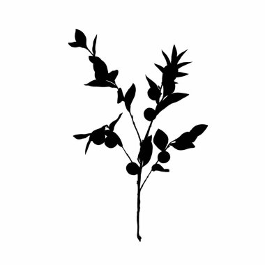 Siyah beyaz yapraklar