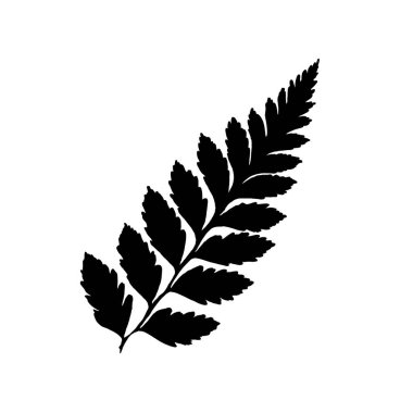 Siyah beyaz yapraklar