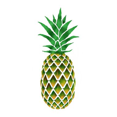 Tropikal yaprakların suluboya çizimi. Prin için yüksek çözünürlüklü