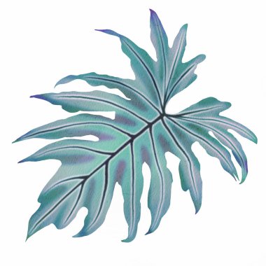 Tropikal yaprakların suluboya çizimi. Prin için yüksek çözünürlüklü