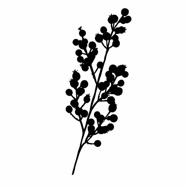 Siyah Beyaz Yapraklar — Stok fotoğraf