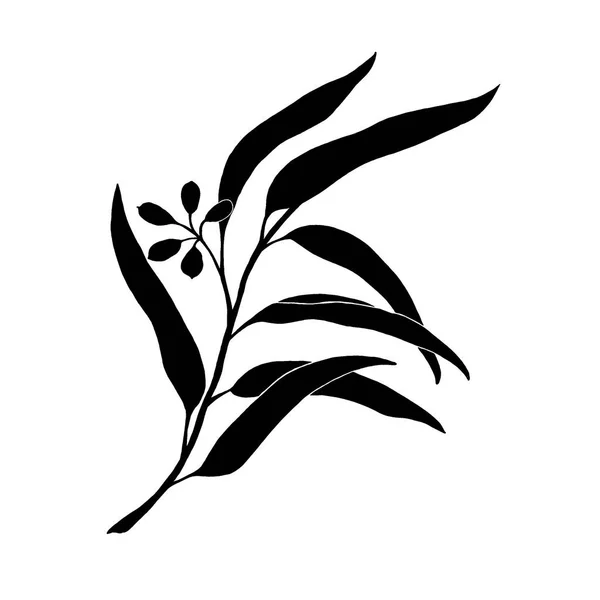 Siyah beyaz yapraklar