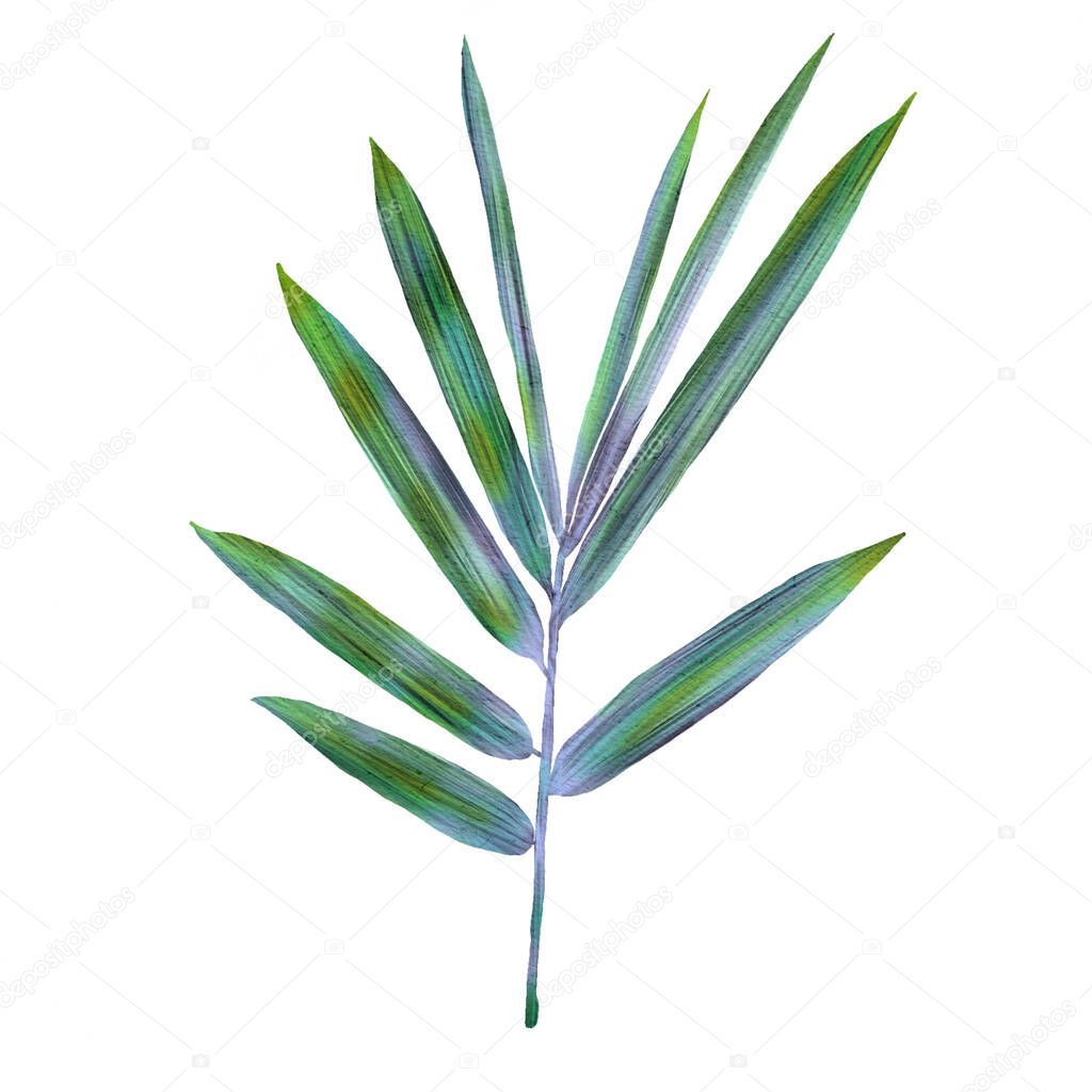 Watercolor illustration of tropical leaves. With a high resolution for prin