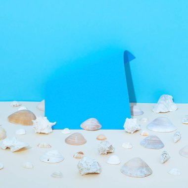 Moda yaz konsepti. Mermilerden ve yaratıcı fotokopi alanından yapılmış. Mavi ve kum rengi arkaplanda.