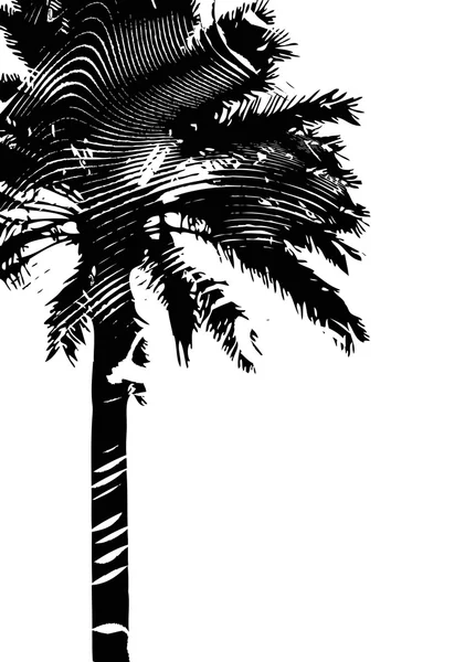 Palmboomsilhouet — Stockvector