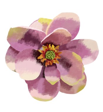 Pitoresk tek Manolya çiçek