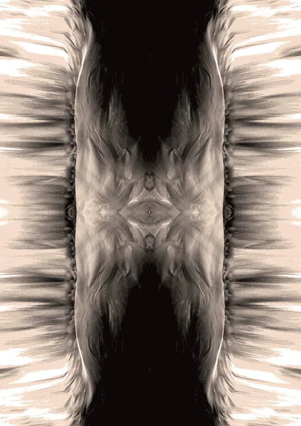 Pattern with monochrome blurred  feather elements — Stock Photo, Image