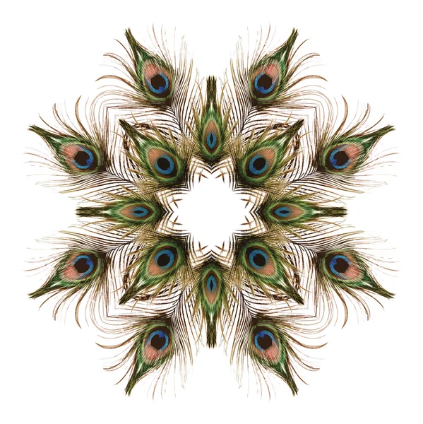 孔雀の羽のシームレスなテクスチャ — ストック写真