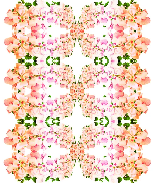 Seamless pattern with flower motifs — Stock Photo, Image