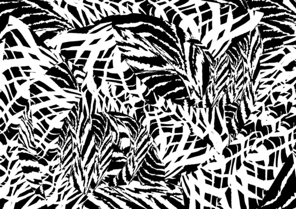 Zwart-wit patroon van abstracte, naadloze — Stockfoto