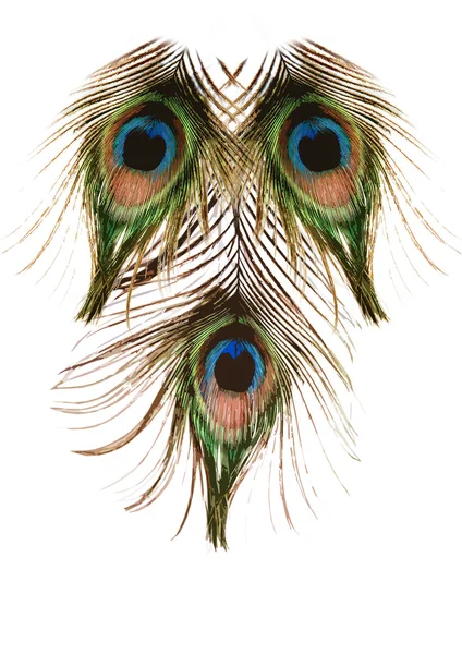 Бесшовная текстура перьев павлина — стоковое фото