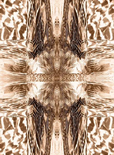 Шаблон с красочными размытыми элементами перьев — стоковое фото