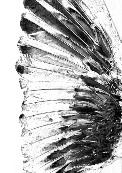 Picturesque monochrome feathers — Stock Photo, Image