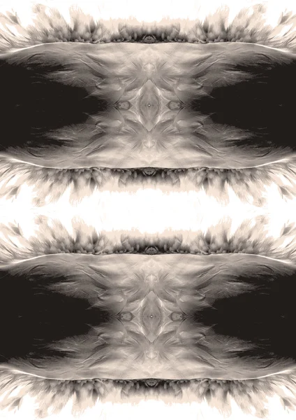 Pattern with monochrome blurred  feather elements — Stock Photo, Image