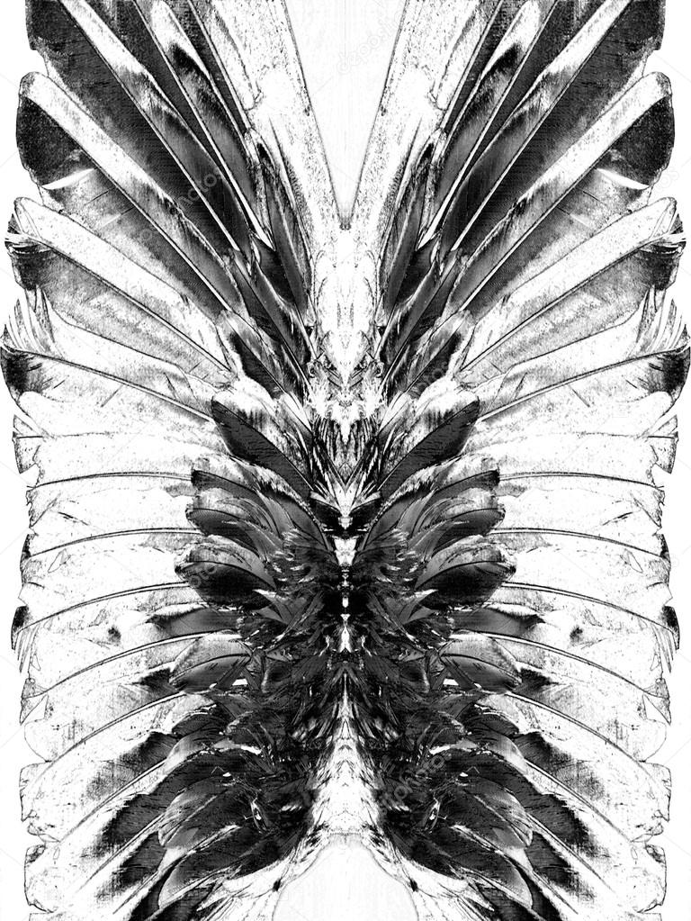 Picturesque monochrome feathers