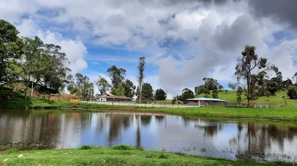 Colombian nature full of colors and biodiversity