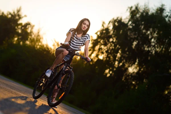 Girl on a bicycle at sunset — Stock Photo, Image