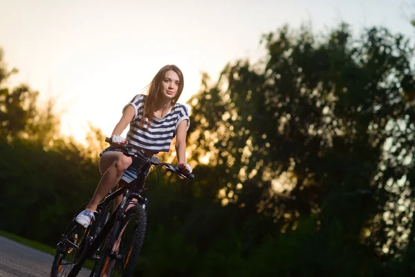 Menina em uma bicicleta ao pôr do sol — Fotografia de Stock