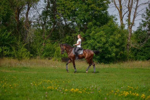 Una Ragazza Pilota Allena Cavallo Giorno Primavera — Foto Stock