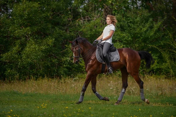 Μια Γυναίκα Αναβάτης Προπονείται Ιππεύοντας Ένα Άλογο Την Ανοιξιάτικη Μέρα — Φωτογραφία Αρχείου