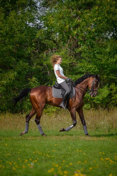 Uma Menina Cavaleira Treina Montando Cavalo Dia Primavera — Fotografia de Stock