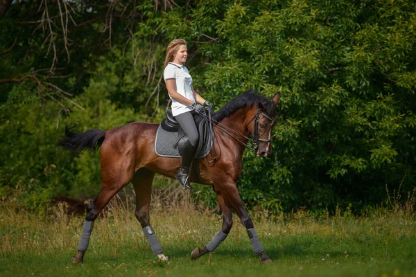 Una Ragazza Pilota Allena Cavallo Giorno Primavera — Foto Stock