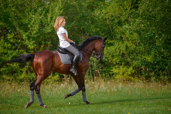 Una Chica Jinete Entrena Montando Caballo Día Primavera — Foto de Stock