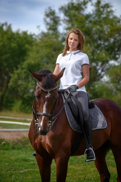 Una Ragazza Pilota Allena Cavallo Giorno Primavera — Foto Stock