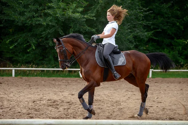 Una Ragazza Pilota Allena Cavallo Giorno Primavera — Foto Stock