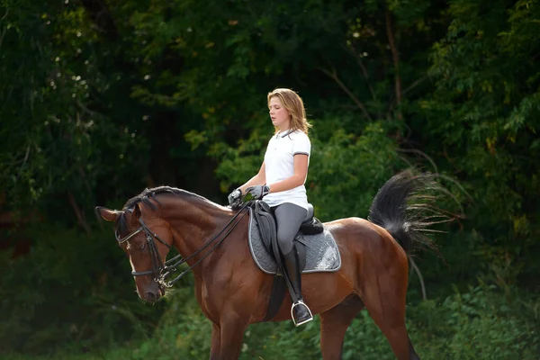 Une Cavalière Entraîne Cheval Jour Printemps — Photo