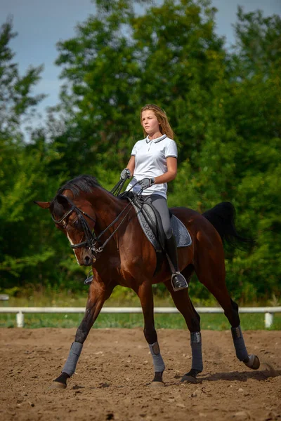 Uma Menina Cavaleira Treina Montando Cavalo Dia Primavera — Fotografia de Stock