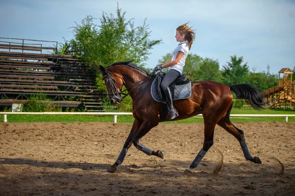 Uma Menina Cavaleira Treina Montando Cavalo Dia Primavera — Fotografia de Stock