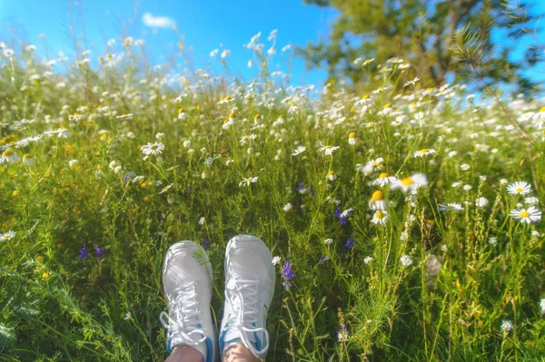 Voeten Van Reiziger Sneakers Een Zonnige Weide Eerste Persoon Bekijken — Stockfoto