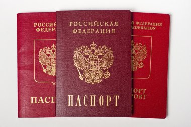 Rus pasaportu belgeleri