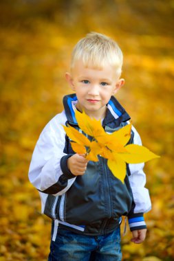 Küçük çocuk açık havada sonbahar