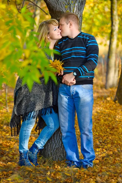 Líbající se pár v podzimním parku — Stock fotografie