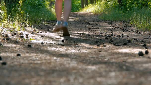 Žena běžec běží v parku cvičení venku fitness nositelná technologie mně běží v lese pod širým nebem venku hrát sportovní zdravého životního stylu, běhání přírody stromy poslech