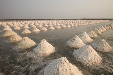 Tayland doğa manzara.