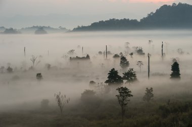 Dünya mirası, Thungyai Naresuan ormanının içinde doğanın güzelliği