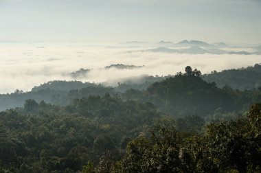 Tayland doğanın güzelliği