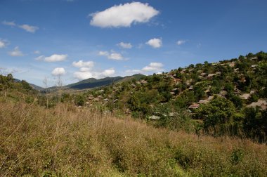 Asya insan ve yaşam