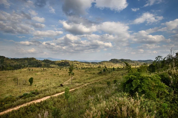 Natuur landschap, Savanna grasveld met berg in Thungyai Naresuan Wildlife Sanctuary - de world heritage site, Thailand — Stockfoto