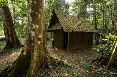 Tarih yer ve doğa Tayland