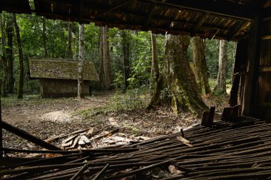 Tarih yer ve doğa Tayland