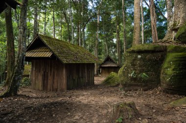 Tarih yer ve doğa Tayland