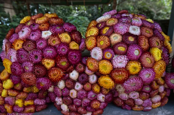 Perjalanan di Thailand — Stok Foto